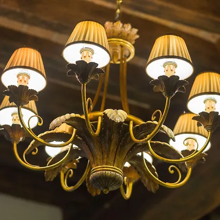 Palazzo Alexander فندق