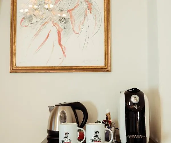 Palazzo Alexander Lucca